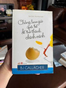 sách phát triển bản thân hay, sách truyền cảm hứng, chẳng bao giờ quá trễ để trở thành chính mình, sách sống tích cực, sách chữa lành tâm hồn