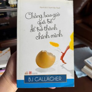 sách phát triển bản thân hay, sách truyền cảm hứng, chẳng bao giờ quá trễ để trở thành chính mình, sách sống tích cực, sách chữa lành tâm hồn