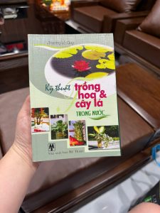 kỹ thuật trồng cây trong nước, trồng hoa trong nước, trồng cây thủy sinh, cây trồng trong bình nước, sách trồng cây cảnh, trồng cây decor trong nhà, hướng dẫn trồng cây thủy sinh