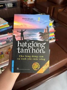 hạt giống tâm hồn, sách truyền cảm hứng, sách chữa lành, sách hay nên đọc, sách quà tặng ý nghĩa, chicken soup for the soul tiếng việt, sách phát triển bản thân