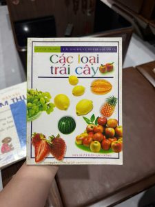 Các loại trái cây
sách thiếu nhi về trái cây
sách nhận biết trái cây cho bé
sách giáo dục sớm cho trẻ
sách hình ảnh trái cây cho bé
sách khoa học thiếu nhi
sách NXB Lao Động thiếu nhi