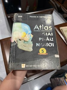 atlas giải phẫu người, sách giải phẫu netter, atlas of human anatomy tiếng việt, sách y khoa giải phẫu, sách học y dược, sách anatomy netter, tài liệu học giải phẫu, sách y khoa kinh điển