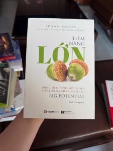 tiềm năng lớn, sách phát triển bản thân, sách tư duy tích cực, sách kỹ năng sống hay, sách thành công cá nhân, sách truyền động lực, sách Shawn Achor, big potential sách