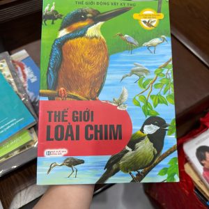 thế giới loài chim, sách thiếu nhi về động vật, sách khám phá loài chim, sách khoa học cho bé, sách động vật cho trẻ em, bộ thế giới động vật kỳ thú, sách thiếu nhi hay, sách giáo dục cho trẻ, sách tranh khoa học