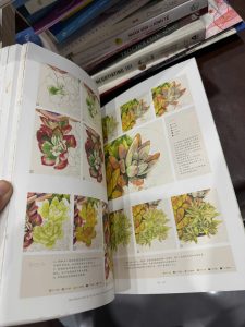 sổ vẽ sen đá, sách vẽ succulent, sketchbook sen đá, sổ tay minh họa, sách vẽ màu nước, artbook sen đá, sổ tay nghệ thuật, sổ sketch đẹp, notebook vintage, sổ decor
