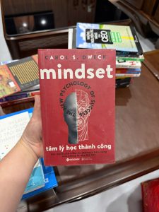 mindset tâm lý học thành công, sách mindset Carol Dweck, phát triển bản thân, tư duy thành công, sách hay nên đọc, sách bán chạy Alpha Books