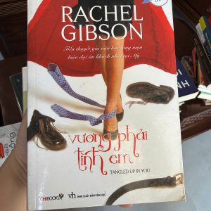 vướng phải tình em, rachel gibson, tiểu thuyết ngôn tình mỹ, sách tình cảm lãng mạn, truyện romance hay